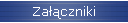 Za��czniki